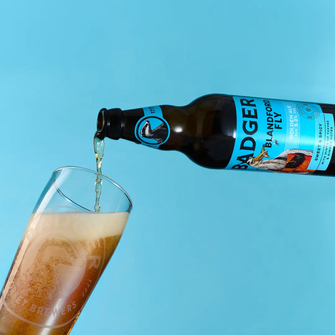 Badger ale poured from the bottle into a glass on a bright blue background