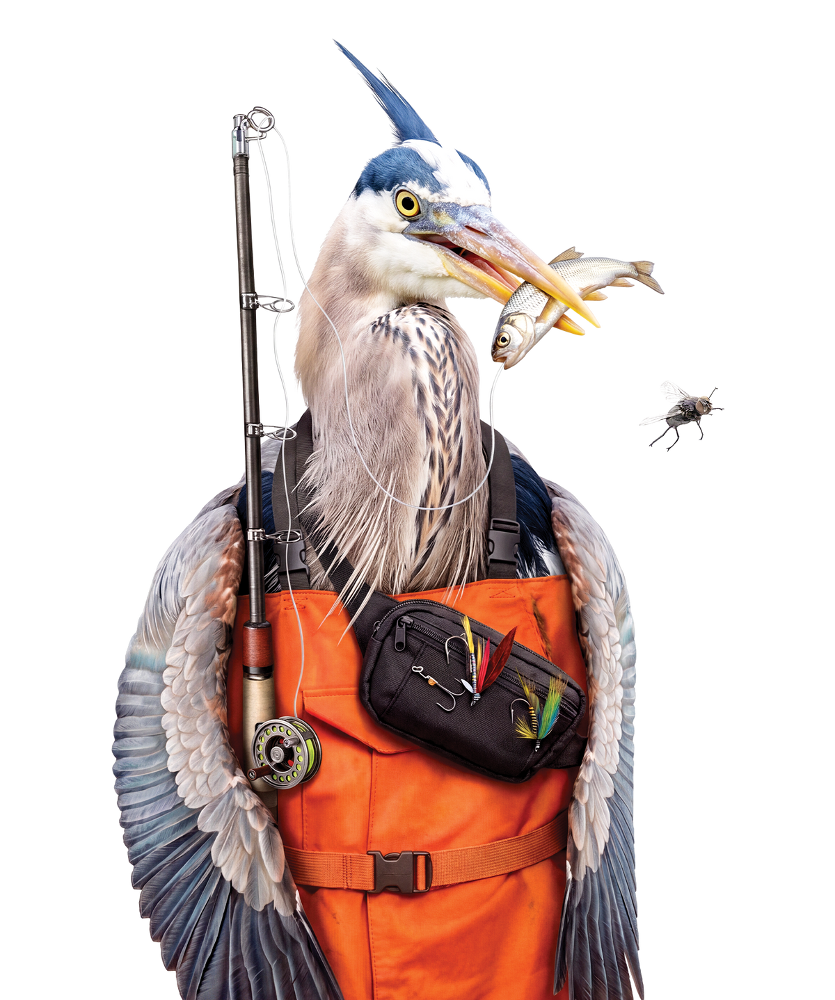 Badger Blandford Fly character - pelican wearing orange fisherman outfit, holding rod, with fish in mouth on cord and fly in front