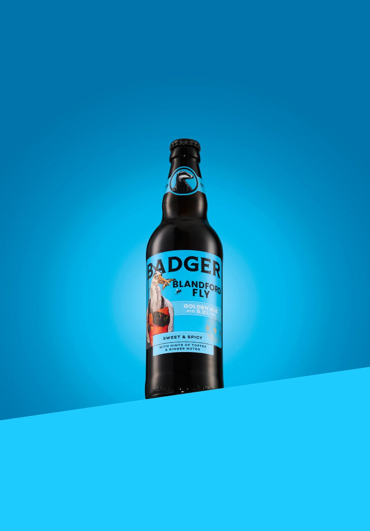 Bottle of Badger Blandford Fly golden ale on a bright blue background
