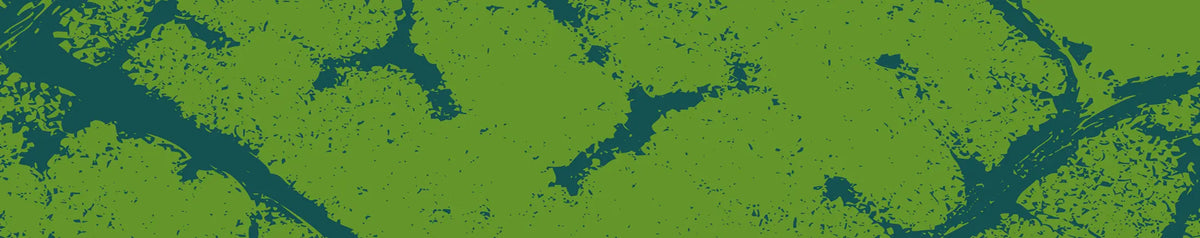 Green and blue Outland brand pattern banner