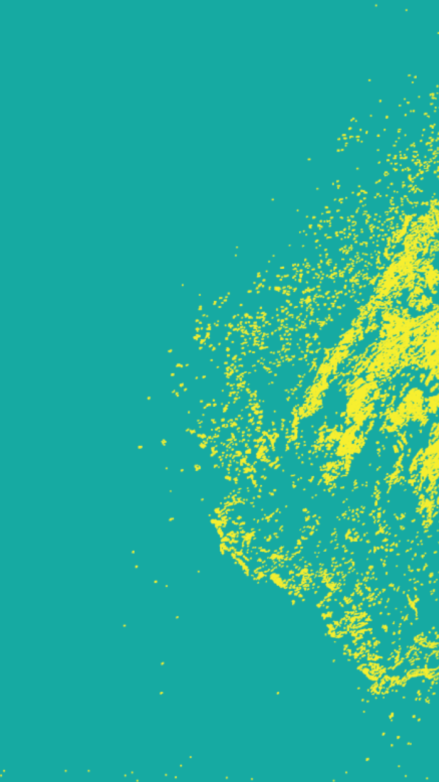A graphic design for Outland Monuriki featuring a solid teal background on the left and a textured, splattered yellow abstract nature pattern on the right.