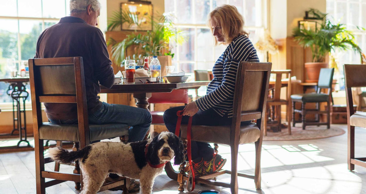 Couple dining in a Hall & Woodhouse pub with a spaniel resting under the table