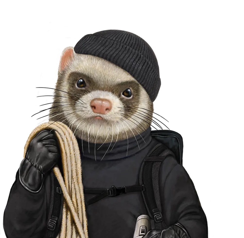 Illustrated ferret dressed as a climber in a black beanie with rope over its shoulder
