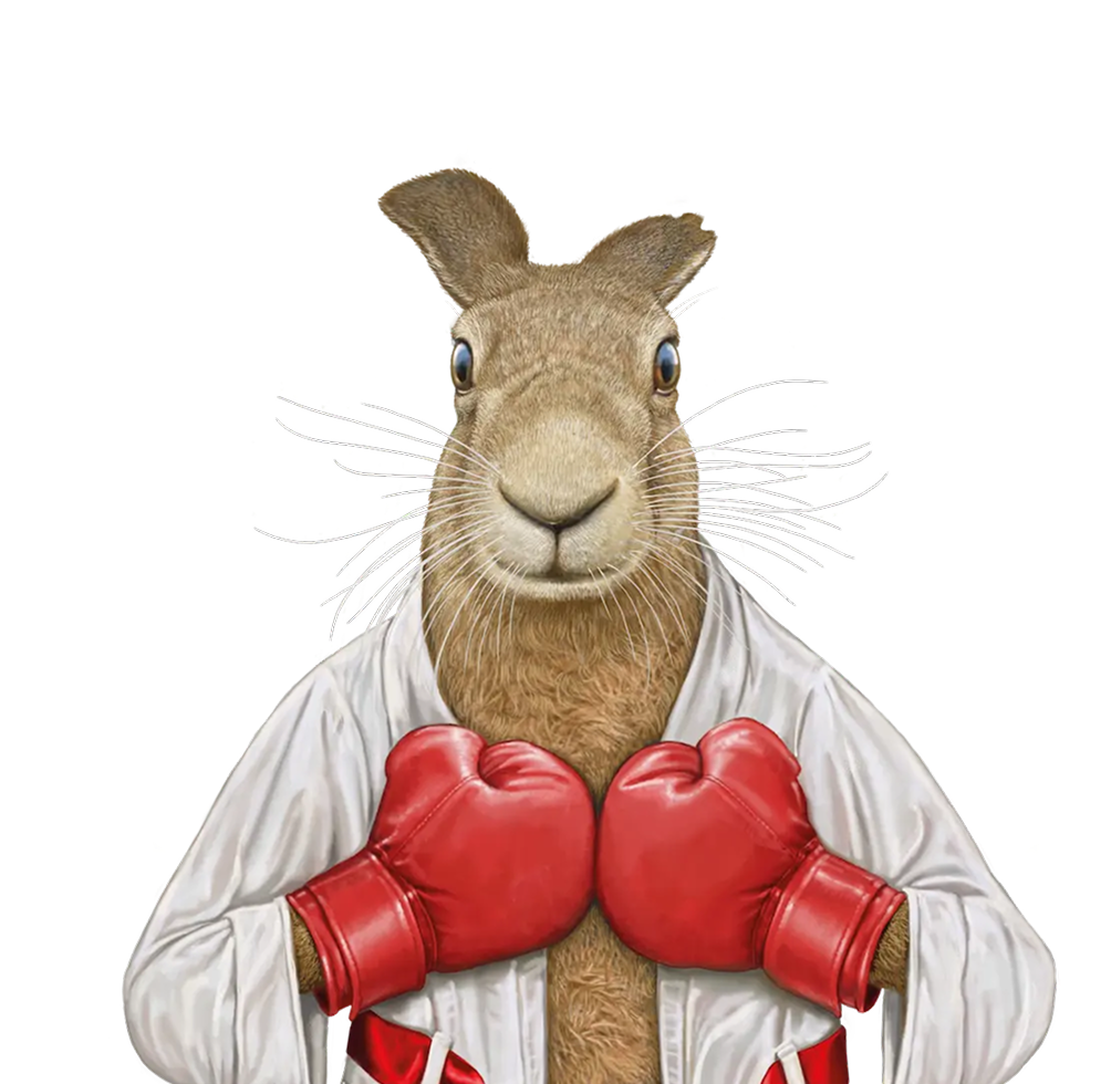 Illustrated hare wearing red boxing gloves and a dressing gown