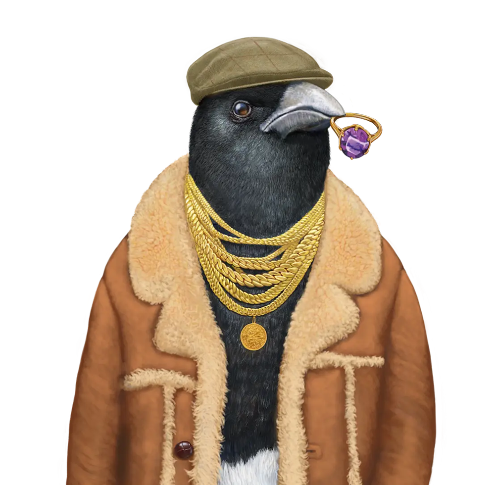 Illustrated magpie in a sheepskin jacket wearing gold chains and rings