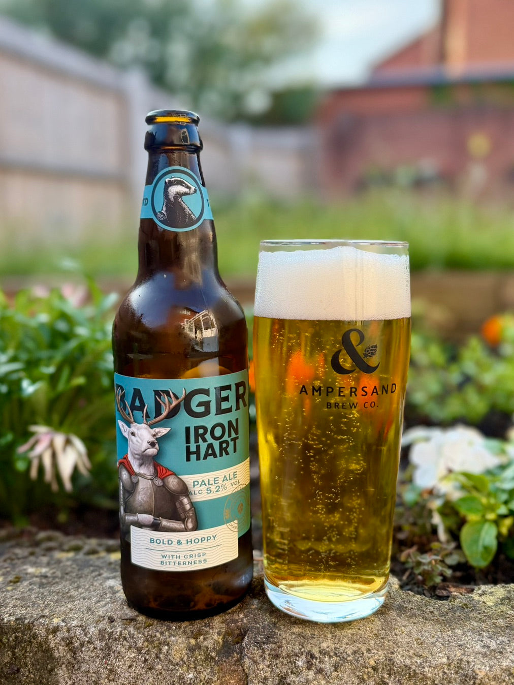 Bottle of Badger Iron Hart and a full pint glass on a wall in a garden