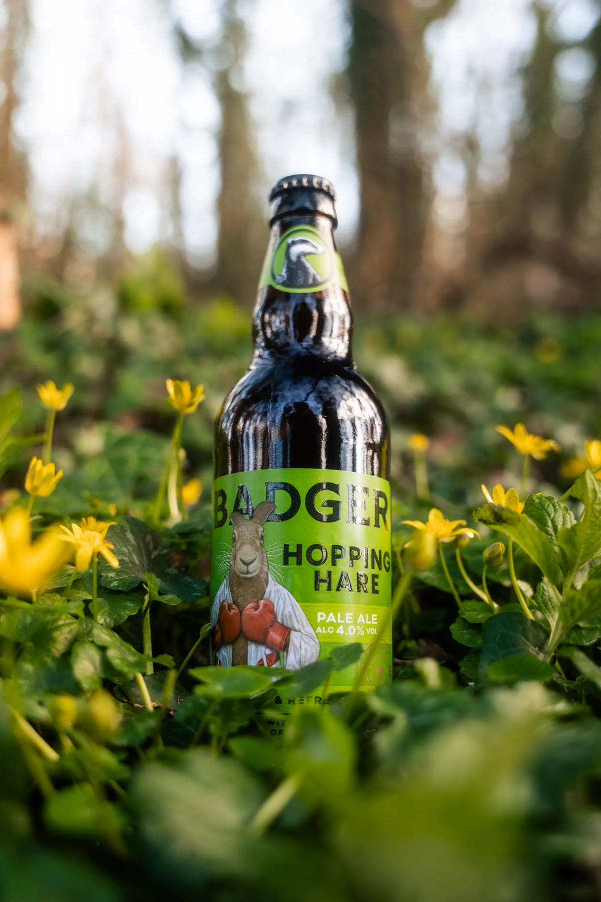 Bottle of Badger Hopping Hare standing among yellow spring flowers on a woodland floor