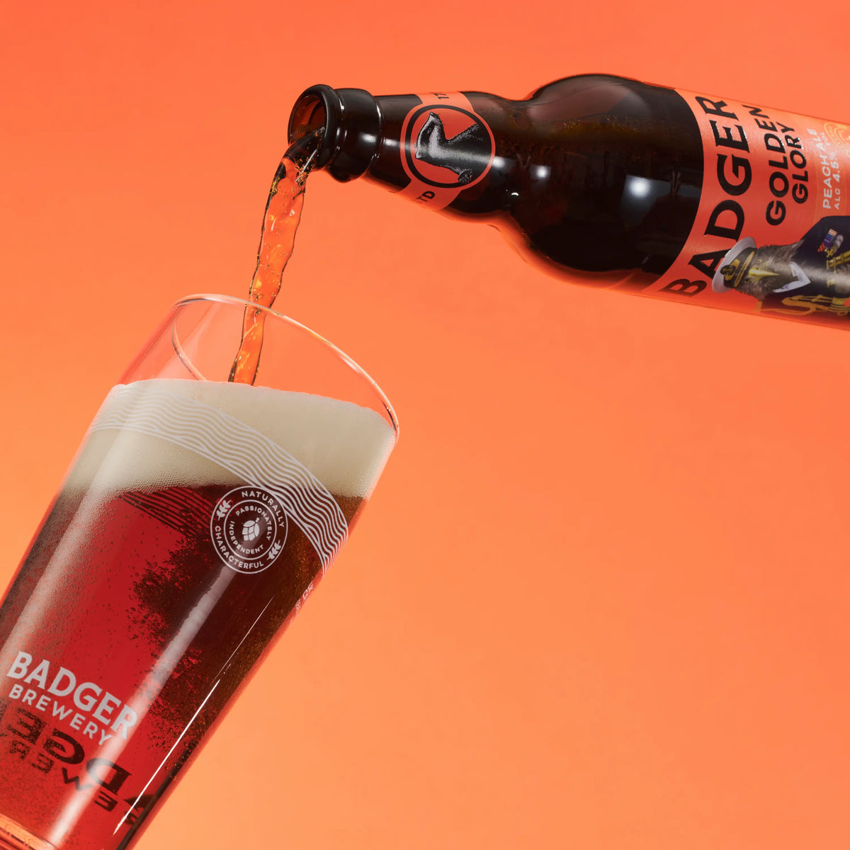 Badger Golden Glory poured from the bottle into a glass on a peach background