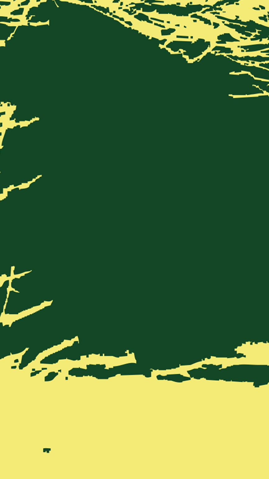 Outland Waysider green and pale yellow beer can pattern