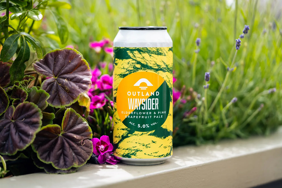 Can of Outland Waysider on a planter edge among purple and pink garden flowers