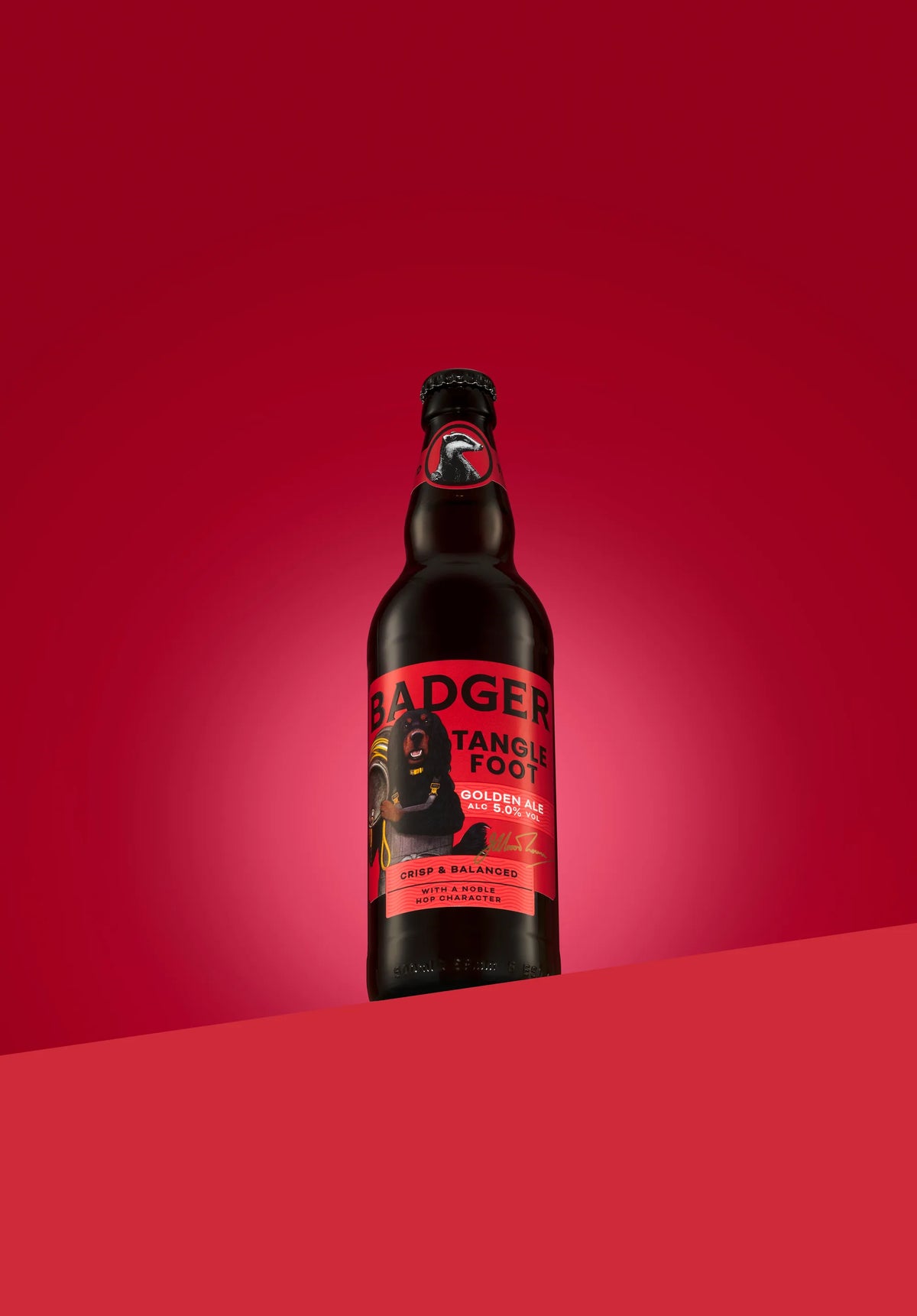 Bottle of Badger Tangle Foot golden ale on a red background