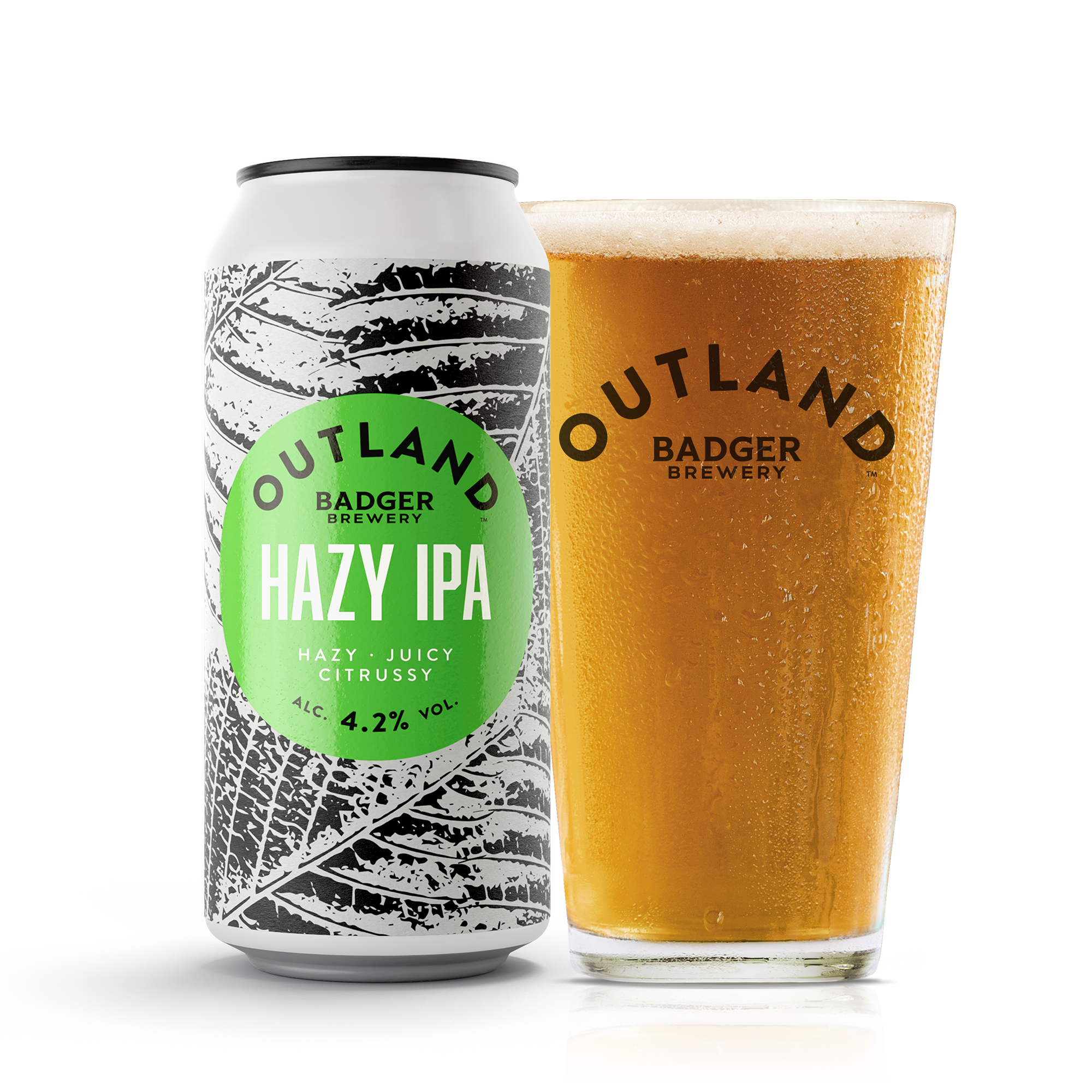 Outland Hazy IPA