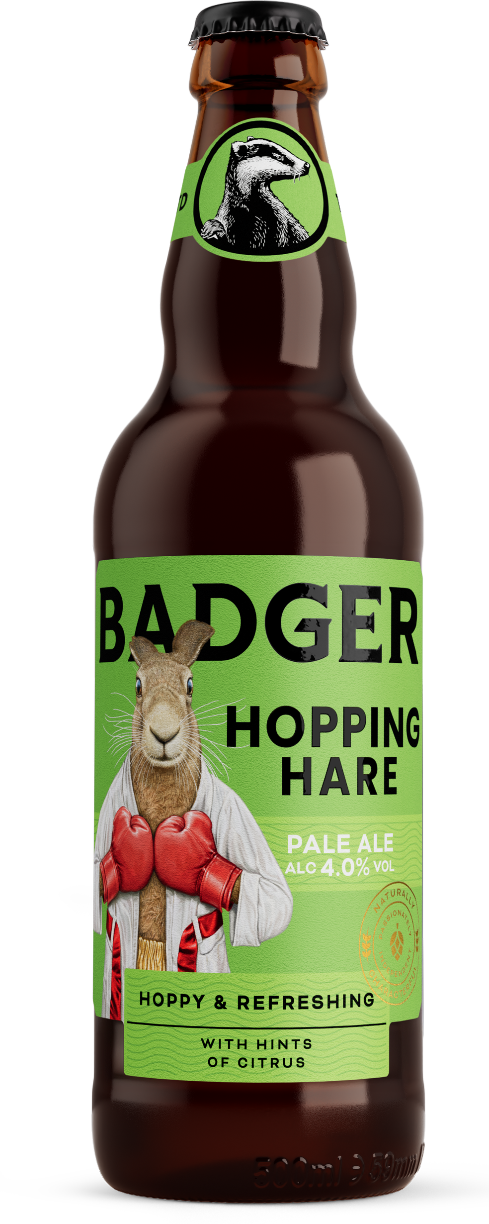 Hopping Hare